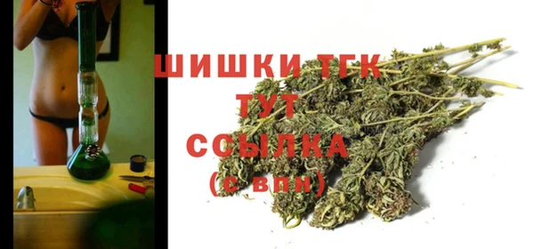 первитин Новодвинск