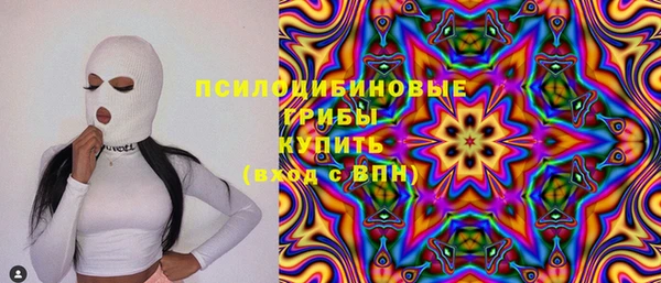 гидра Армянск