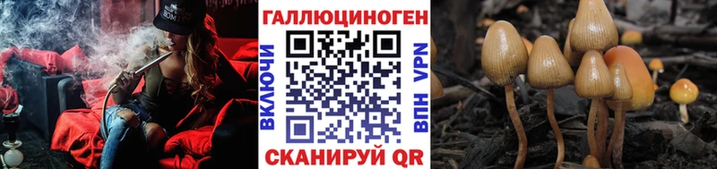 Псилоцибиновые грибы Cubensis  гидра ONION  Правдинск 